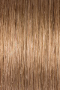 Farbe 19 - aschgoldblond glatt Tape Extensions L&auml;nge...