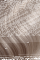 Tape Extensions – Farbe 616 · Aschdunkelblond – 60 cm