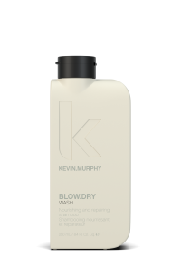 BLOW.DRY.WASH